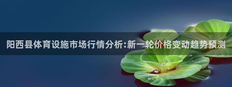 意昂5(KGAME)体育平台注册要钱吗安全吗：阳西县体育设施