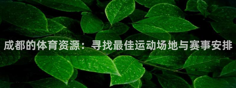 意昂5(KGAME)集团logo