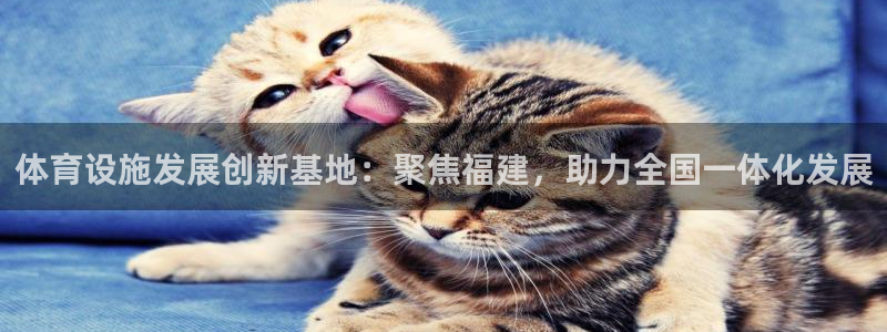 意昂5(KGAME)科技：体育设施发展创新基地：聚焦