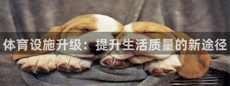 海南意昂5(KGAME)体育发展怎么样：体育设施升级