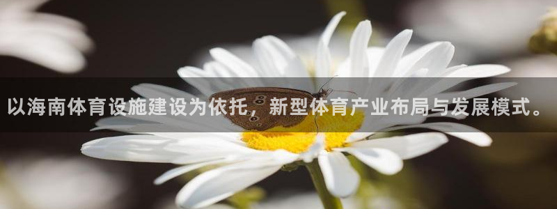 意昂5(KGAME)体育平台注册要钱吗安全吗：以海南