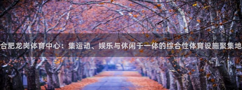 意昂5(KGAME)科技：合肥龙岗体育中心：集运动、娱乐与休