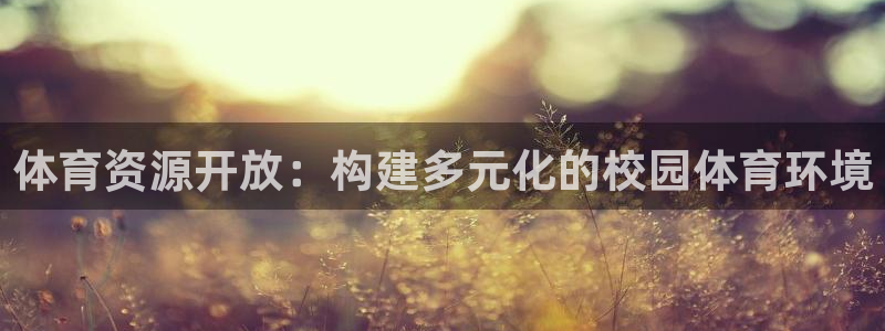 意昂5(KGAME)体育招商电话号码：体育资源开放：构建多元