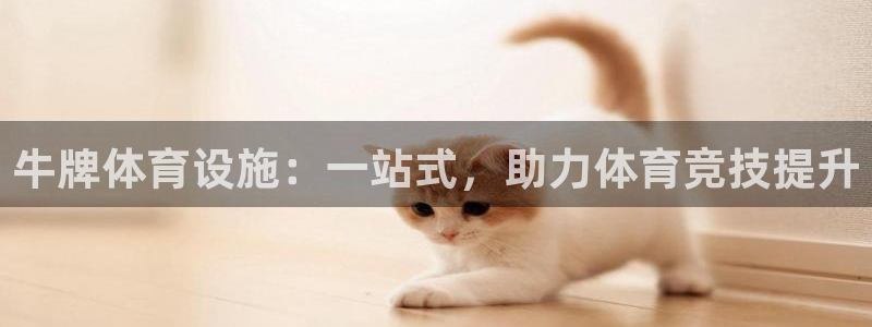 意昂5(KGAME)体育平台是正规平台吗：牛牌体育设施：一站