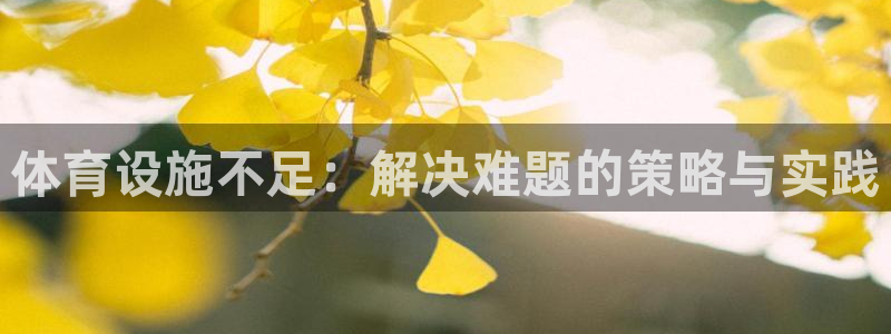 意昂5(KGAME)体育官方客服电话：体育设施不足：解决难题