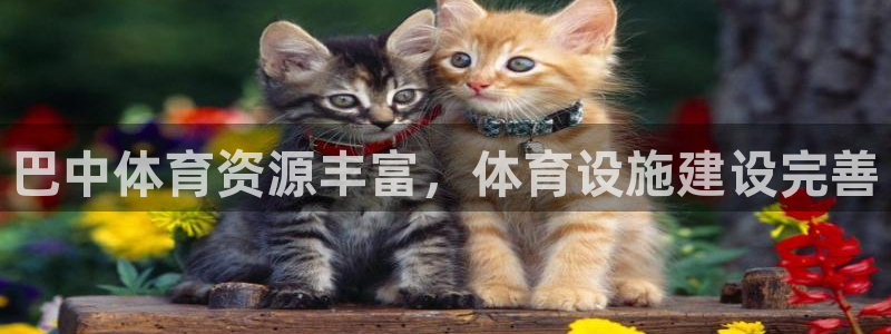 意昂5(KGAME)体育平台是正规平台吗安全吗：巴中体育资源 