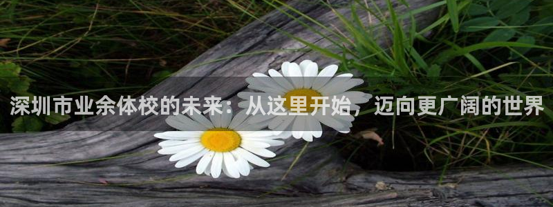 菲律宾ug环球官网