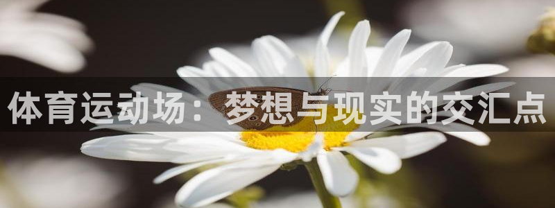 ug环球官网